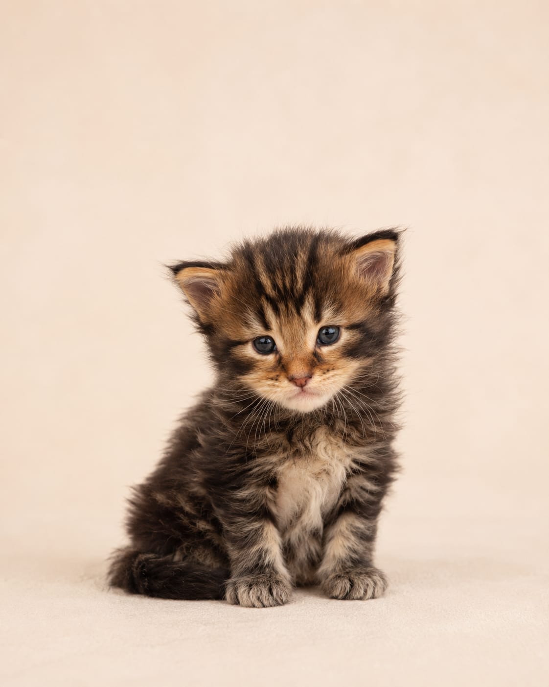 Foto de Oliver